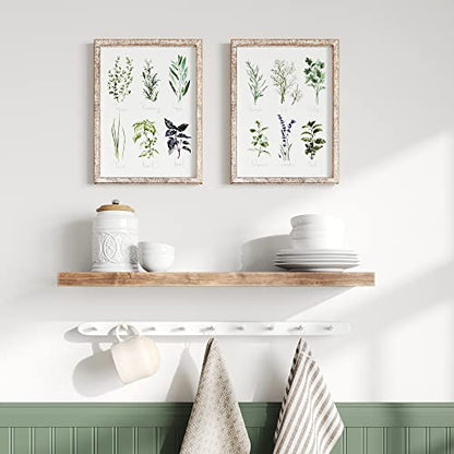 Barnyard Designs Herbs and Spices Wall Art Sign Set (Herbs A & B, 2 Signs) | Botanical Print Rustic Country Farmhouse Wood Plaque; Framed Kitchen Decor; Pair of Hanging Plaques