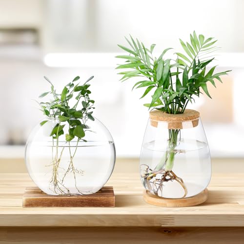Layhit 4 Pcs Plants Propagation Stations vases Glass Planters with Wooden Lid and Bamboo Stand for Hydroponic Plants Gardening Gifts for Women Mom Home Office Tabletop Decoration(Cute Style) - style: Cute Style