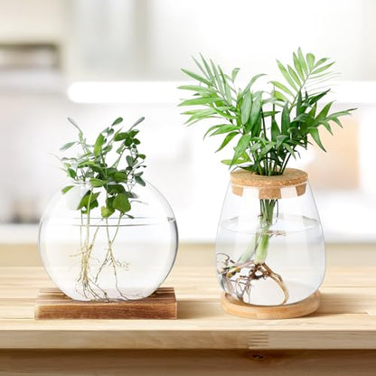 Layhit 4 Pcs Plants Propagation Stations vases Glass Planters with Wooden Lid and Bamboo Stand for Hydroponic Plants Gardening Gifts for Women Mom Home Office Tabletop Decoration(Cute Style) - style: Cute Style