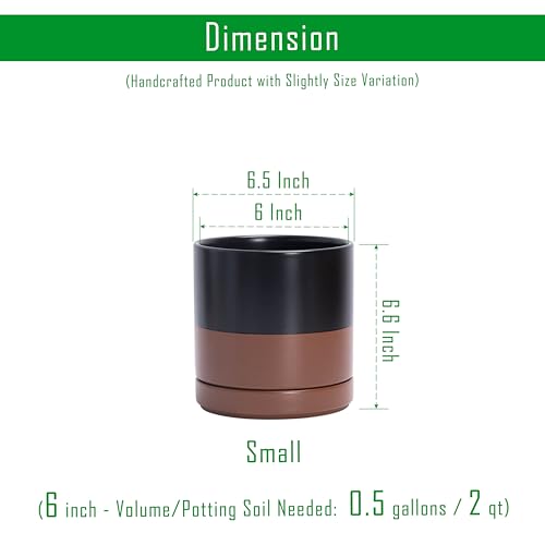 D'vine Dev 2-Pack Ceramic Pots with Saucers, Black/Tan, 6.5 in, 94-V-C-7 | Modern Cylinder Design, Glazed Ceramic, Drainage Hole & Saucer Included, High Temperature Fired, Elegant Home Accent - color: Black/Speckled Tan, size: 6 Inch