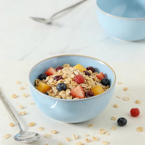 Cereal Bowls, 24 oz Ceramic Bowls Set of 4, Stoneware Bowl Set for Salad, Kitchen, Soup, Dessert, Ramen, Dishwasher and Microwave Safe, Skyblue - color: SkyBlue, size: Set of 4