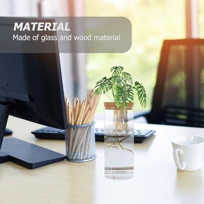Hydroponic Plant Bottle, 8.21x3.34in Plant Vase Micro Landscape Bottle, Hydroponic Vase Empty Glass, Water Flower Pot Container with Cork (Hole Diameter 3cm) (Pack of 2) - size: 20X8.5CM (Pack of 2)