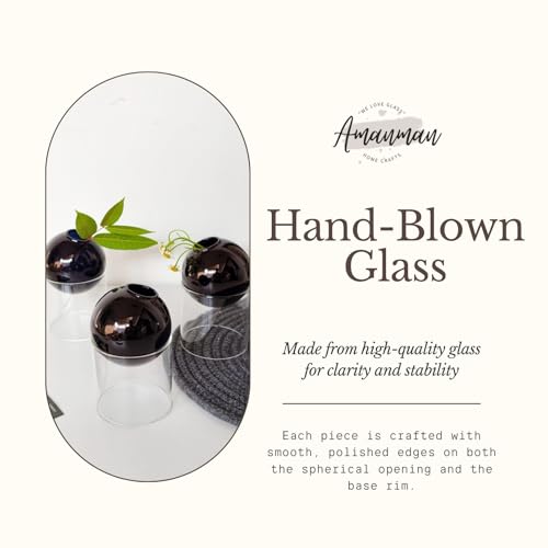 3-Pack Modular Black Glass Vase Set | Minimalist Aesthetics Bud Vase & Desktop Glass Planter with Clear Stand, Small Flower Vase - color: Black*3