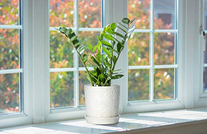 D'vine Dev 2-Pack Geometric Stoneware Planters, 3.8/5.8 in, White, 99-E-1 | Drainage Hole and Saucer, Sculptural Geometric Design, Rich Glazed Surface, Modern Style, Elegant Accent for Indoor Plants - color: White