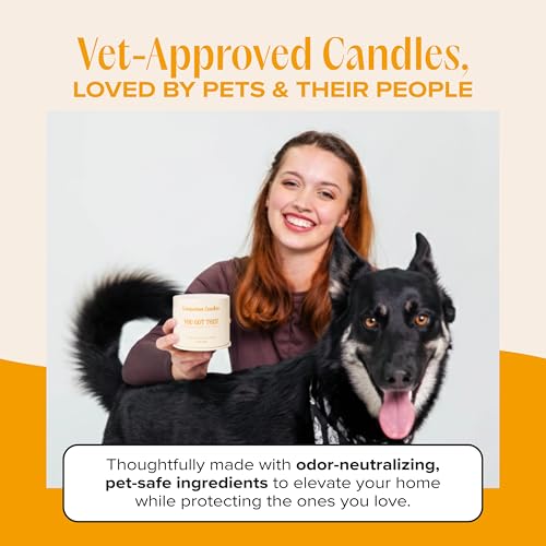 You Got This! Pet-Friendly Scented Candle – Tropical Nectar & Fruits Fragrance - Coconut Soy Wax Candle with Wooden Wick, Approx. 50-Hour Burn Time, Made in USA, 11.8 oz - color: You Got This!