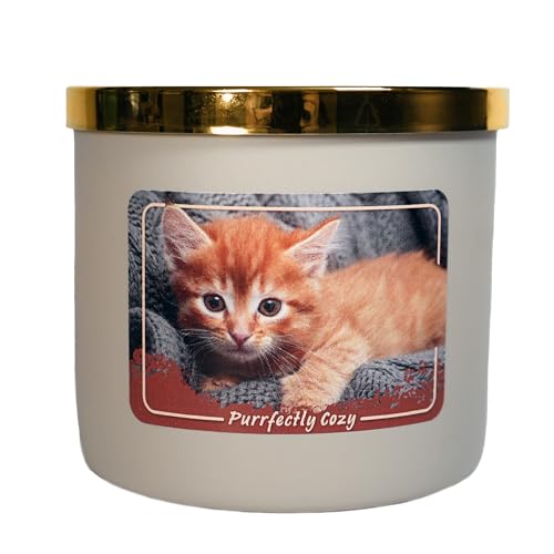 Colonial Candle Purrfectly Cozy Scented Jar Candle, 14 oz - Warm & Comforting Fragrance, Long-Lasting Burn, Made in The USA - color: Purrrfectly Cozy