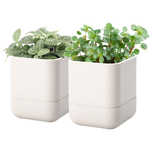 Phoenix Vine 4.5 Inch Wall Mounted Self-Watering Planter Pot for Indoor Houseplants and Herbs | Hanging Planter for Window Sills, Bathroom Walls, Home & Office Décor, Oatmeal, Set of 2, 01-B-G-2 - color: Oatmeal, size: 4.5" (2 Pack)