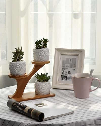 FLOWERPLUS Planter Pots Indoor, 3 Pack 3 Inch White Ceramic Decorative Small Owl Succulent Cactus Flower Plant Pot with Tree Tier Bamboo Stand for Garden Kitchen Home Office Desk Decorations