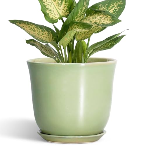 5.6 Inch Plant Pot - Ceramic Pots for Plants Indoor Outdoor, Round Orchid Succulent Pot with Drainage Hole and Saucer, Modern Small Planter, Home Room Window Decor, Plants Lover Gift, Green - color: Green, size: 6 Inch