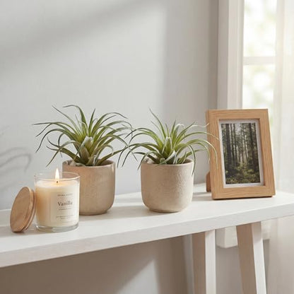Artificial Plants & Greenery 2Pcs Faux Decor Set | Ultra Realistic Artificial Air Plants, No Care Faux Succulents for Home Garden Office Terrarium DIY Decor