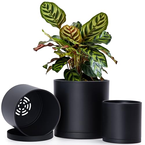 D'vine Dev 3-Pack Plastic Pots & Saucers, 4.5/5.5/6.5 in, Black, 74-V-B-2 | Multi-Size Options, Lightweight Durable, Matte Finish, Cylinder Shape, Drainage Holes, Sleek Design, Detachable Saucer - color: Matte Black, size: Small Plus