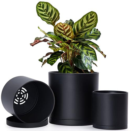 D'vine Dev 3-Pack Plastic Pots & Saucers, 4.5/5.5/6.5 in, Black, 74-V-B-2 | Multi-Size Options, Lightweight Durable, Matte Finish, Cylinder Shape, Drainage Holes, Sleek Design, Detachable Saucer - color: Matte Black, size: Small Plus