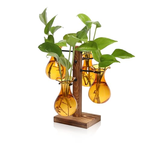 Plants Propagation Stations Bulb Glass Propagation Birthday Gift for Women | Garden Plant Lovers - 4 Bulb - color: Amber