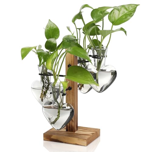 Plant Terrarium Propagation Stations with Wooden Stand | Glass Vase for Indoor Hydroponics Home Garden Office Decoration Gift for Women - 4 Love Bulb Vase - color: Grey