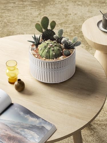 LE TAUCI Succulent Pots, 6.5+8 Inch Ceramic Indoor Plant Pot with Drainage Hole, Shallow Round Succulent Planters, Set of 2, Reactive Glaze Star White - color: Reactive Glaze Star White