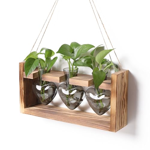 Plant Terrarium Propagation Stations Hydroponics | Home Garden Decoration Gift for Women with Wooden Stand Heart Shaped Colored Glass Vase - color: Gray