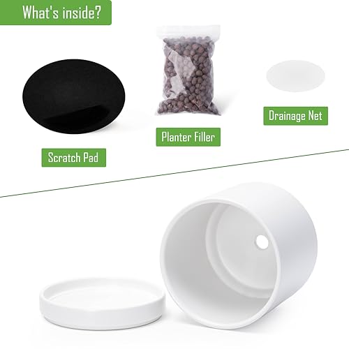 D'vine Dev 2-Pack Ceramic Pots with Saucers, White, 4/6 in, 94-G-S-1 | Glazed Ceramic, Drainage Hole, Perfect-Fit Saucer, Sleek Cylinder Shape, High Temperature Fired, Elegant Home Accent - color: White, size: Small