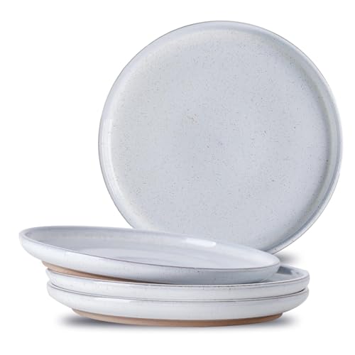 Ceramic Dinner Plates Set of 4 with High Edges, 8 Inch Glacier White Plates for Salad, Pasta and Steak, Oven＆Dishwasher Safe, Stoneware Plates with Matte Terracotta Base, Porcelain,Scratch Resistant - color: White, size: 8 Inch(4 PC)
