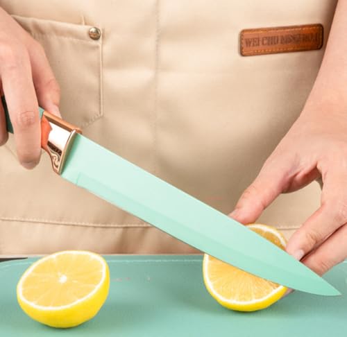 Kitchen Cooking Utensils and Knife Set with Block, 19 Pieces Cooks Cutting Set 11 Silicone Utensils Tool 5 Pcs Sharp Stainless Steel Chef Knives Scissors Whisk Tongs and Cutting Board (Teal) - color: Teal