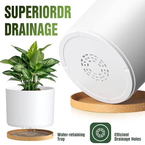 10/9/8 Inch Plant Pots 3 Pack, with Drainage Hole & Saucers | Cylindrical plastic planters with drainage holes & saucers. Modern matte finish, lightweight & durable for indoor/outdoor use - color: Matte White&brown