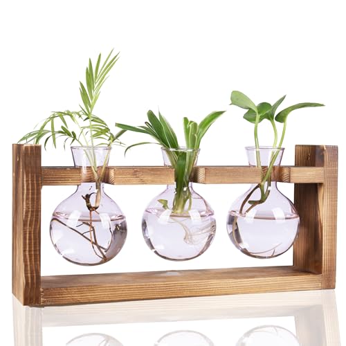 Kingbuy Glass Plant Terrarium Propagation Station, 3 Bulb, Pink | Colored Vases with Retro Wood Stand, Wall Mounted & Desktop, Indoor Garden Planter, Home Kitchen Wedding Decor - color: Pink