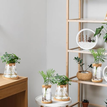 Layhit 4 Pcs Plants Propagation Stations vases Glass Planters with Wooden Lid and Bamboo Stand for Hydroponic Plants Gardening Gifts for Women Mom Home Office Tabletop Decoration(Stylish Style) - style: Stylish Style