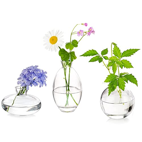 Glass Bud Vases Set of 3, Hewory Cute Clear Small Vases Handmade, Mini Glass Flower Vase for Floral Arrangement, Tiny Centerpiece for Wedding Party Events Home Office Table Decor (Not Include Flower) - color: Clear, size: 1set (3pcs)