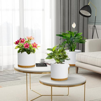 Large Plant Pots Set of 3 – 8", 9", 10" Indoor Flower Pots with Drainage Holes and Saucers, Big Planters for Monstera, Fiddle Leaf Fig, Snake Plant – 5 Colors - color: White With Brown Base
