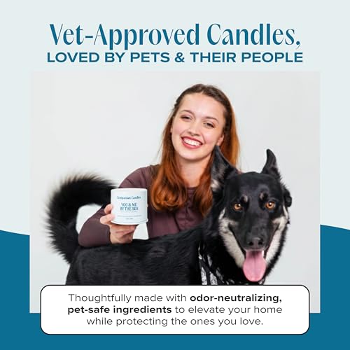 You & Me by the Sea Pet-Friendly Scented Candle – Sea Salt & Neroli Fragrance - Coconut Soy Wax Candle with Wooden Wick, Approx. 50-Hour Burn Time, Made in USA, 11.8 oz - color: You & Me by The Sea