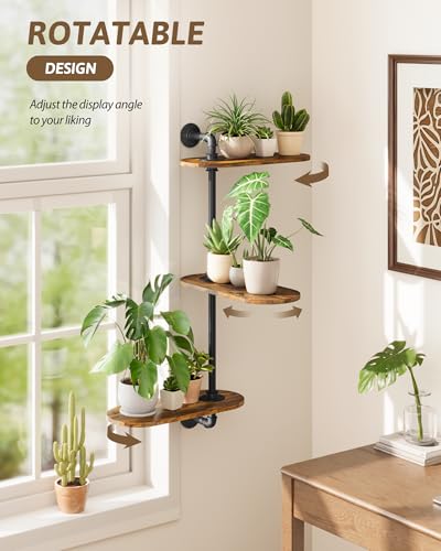 GENTINGBRO Window Plant Shelves 3-Tier Rotating Plant Stand Industrial Window Plant Shelf Wood - color: Black, size: Large