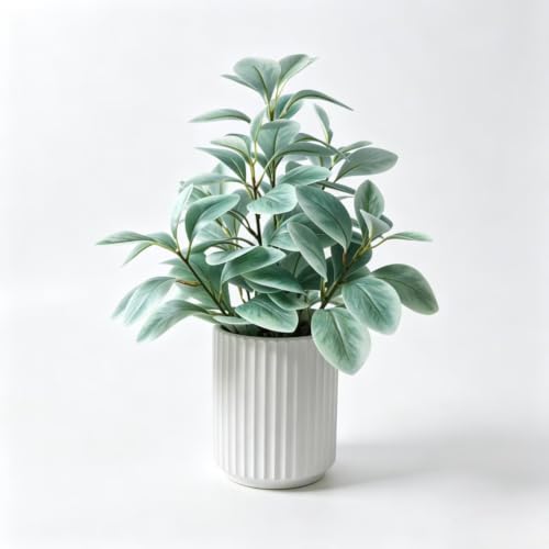 Artificial Eucalyptus Desk Plant 16 Inch Potted Faux Greenery for Home Office Decor White Ceramic Style Planter Tabletop Decorative Plant Modern Minimal Accent No Watering Required - color: Eucalyptus (Black)