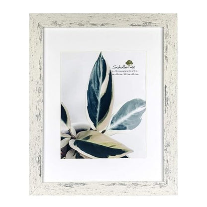 Rustic White Wooden 11x14 Picture Frame set of 2,Display 11x14 without Mat or 8x10 with Mat，Wall Gallery Photo Frames - color: White, size: 11x14 inches