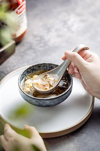 LYEOBOH Ceramic Asian Soup Spoons Set of 6, Ramen Spoons with Long Handle | Japanese Ramen Spoons with Deep Hook Design for Miso Rice, Chinese Soup Spoons for Kitchen, Dishwasher Microwave Safe, Gray - color: Gray