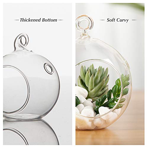 WGV Hanging Terrarium Globe Bulk, Width 2.25", Height 2.75", DIY Air Succulent Planter, Clear Glass Vase Orb with Flat Bottom, Candle Holder for Windowsill Outdoor Garden Decor, 12 Pieces