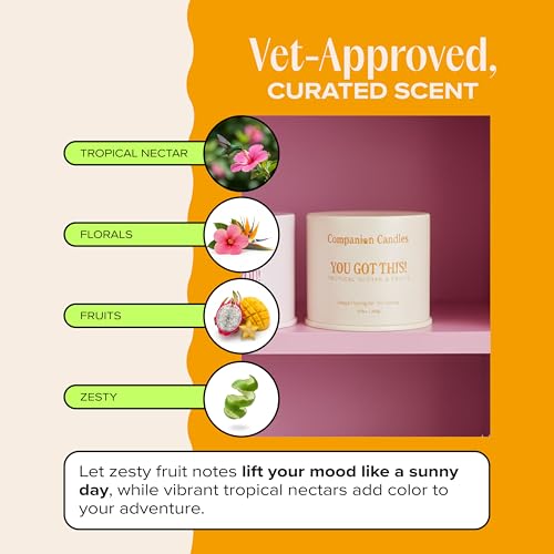 You Got This! Pet-Friendly Scented Candle – Tropical Nectar & Fruits Fragrance - Coconut Soy Wax Candle with Wooden Wick, Approx. 50-Hour Burn Time, Made in USA, 11.8 oz - color: You Got This!