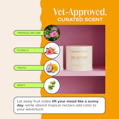 You Got This! Pet-Friendly Scented Candle – Tropical Nectar & Fruits Fragrance - Coconut Soy Wax Candle with Wooden Wick, Approx. 50-Hour Burn Time, Made in USA, 11.8 oz - color: You Got This!