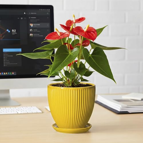 6 Inch Plant Pot, Ceramic Planter with Drainage Hole and Saucer, Decorative Small Plant Pots for Indoor Plants, Modern Round Flower Pot, Home Office Room Decor, House Warming Gifts, Yellow - size: 6 Inch, style: Yellow