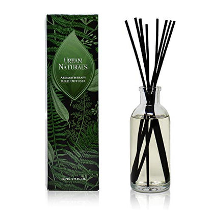 Coconut Breeze Reed Diffuser Oil Set with Reed Sticks – Warm Coconut, Pineapple and Tahitian Vanilla - Made in The USA - color: Coconut Breeze