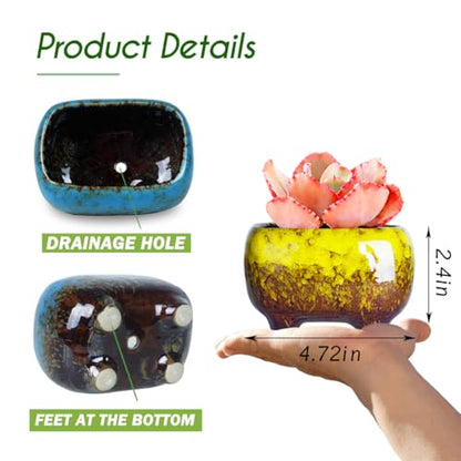 ARTKETTY Succulent Pots, 4.7 Inch Small Plant Pots with Drainage Pack of 5 | Ceramic Planters for Indoor Cactus Plants Glazed Flower Plant Container - color: 4.7"-rectangular(5pcs)