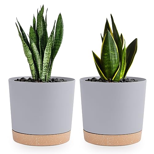QCQHDU 6.5 inch Plant Pot, 2 Pack Planters for Indoor Plants with Drainage Holes & Saucer, Outdoor Flower Pots Home Garden Modern Decor - color: Light Grey, size: 6.5 inch