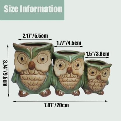 Cute Owl Planter, Small Funny Succulent Pots, Unique Decorative Animal Statue Ceramics Plant Pot for Indoor/Outdoor Home Office with Drainage, Owl Gifts for Women Mother Teacher, Three Owls
