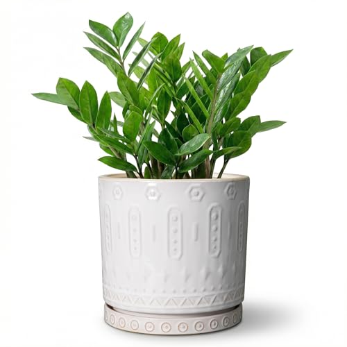 Eightpot 8 Inch Plant Pot, Ceramic Planter for Indoor Plants Outdoor, Round Planter with Drainage Hole and Tray, Boho Flower Pot, Decorative Pots for Plants, Home Decor, Plant Lover Gifts, White - color: White - 2, size: 8 Inch