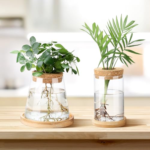 Layhit 4 Pcs Plants Propagation Stations vases Glass Planters with Wooden Lid and Bamboo Stand for Hydroponic Plants Gardening Gifts for Women Mom Home Office Tabletop Decoration(Stylish Style) - style: Stylish Style