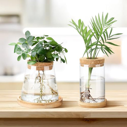Layhit 4 Pcs Plants Propagation Stations vases Glass Planters with Wooden Lid and Bamboo Stand for Hydroponic Plants Gardening Gifts for Women Mom Home Office Tabletop Decoration(Stylish Style) - style: Stylish Style