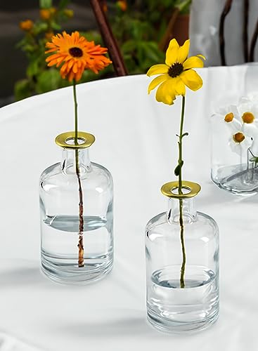 Serene Spaces Living Set of 6 Bud Vases with Gold Tip, Tealight, Pillar Holder, Decorative Vase, Ideal for Wedding, Birthday, Thanksgiving, Christmas - size: Set of 6