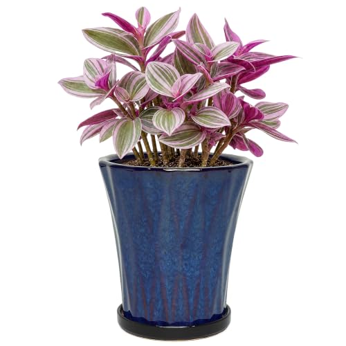 6.6 Inch Ceramic Planters with Drainage Hole and Saucer,Indoor Outdoor Large Flower Pots, Garden Pot for Plant Lovers (Blue) - color: Blue, size: 6.6 Inch