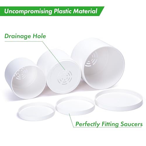 D'vine Dev 3-Pack Plastic Pots & Saucers, 6/6.5/8 in, White, 74-V-A-3 | Multi-Size Options, Lightweight Durable, Matte Finish, Cylinder Shape, Drainage Holes, Sleek Design, Detachable Saucer - color: Matte White, size: Medium