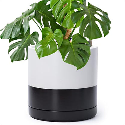 D'vine Dev 10 Inch Ceramic Planter Pot, Black White Two Tone, 94-O-E-L | Modern Cylinder Design, Drainage Hole & Saucer Included, Stable Structure, Elegant Home Accent - color: Layered Monochrome Black & White, size: Large
