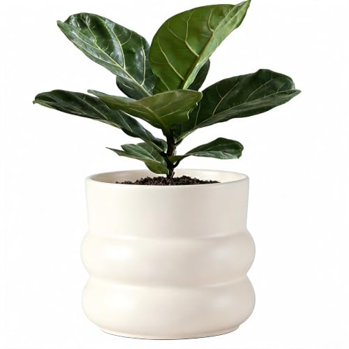 Ceramic Plant Pot,6 Inch Planters for Indoor Plants,Ceramic Planter Flower Pots with Drainage Hole,Home Office Garden Décor,(Pale Beige,Inner-pots not Larger Than 5 Inch) - color: Pale Beige