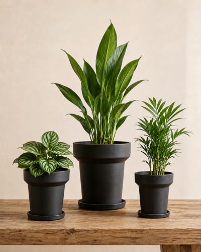 Bamworld Plant Pots Indoor with Drainage Holes- Set of 3 Pots for Plants(4.9/5.9/7.8Inch) Plastic Flower Pot Planters for Indoor Outdoor Plants Garden Pots for Room & Office Décor Black - color: Textured Black, size: Mushroom-shaped